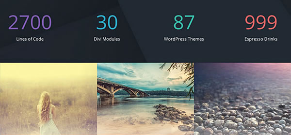 divi theme fullwidth portfolio module