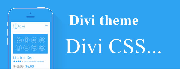 divi theme css snippets