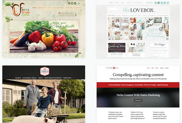 divi theme design inspiration