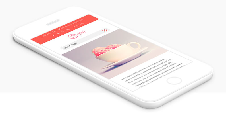 divi responsive theme