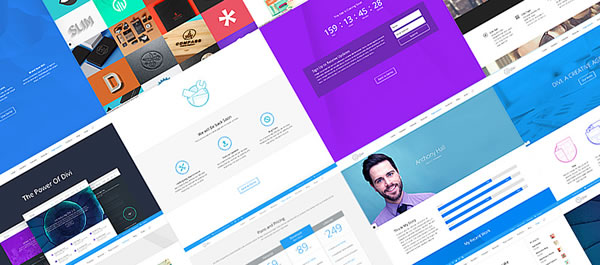 divi pre-made layouts