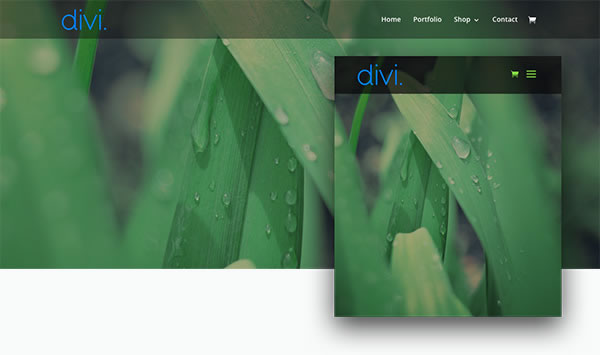 divi 2.4 mobile styles example