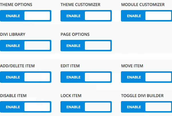 divi 2.5 client control