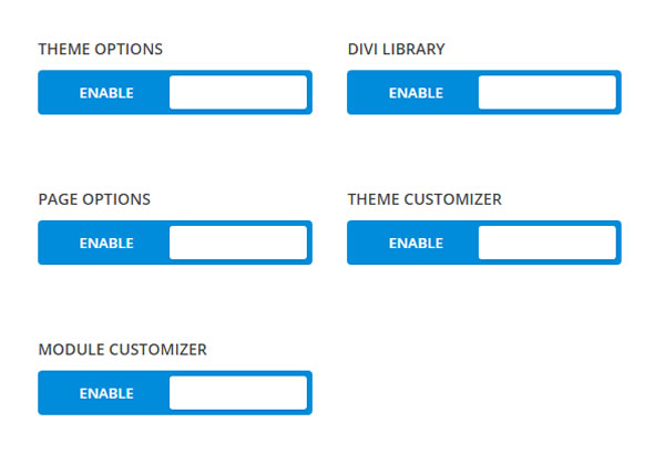 divi role editor - high level theme settings