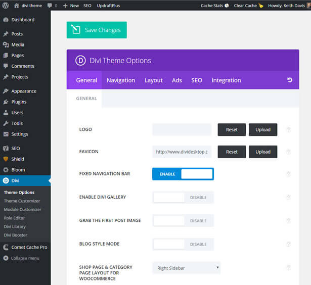 learning divi the divi theme options