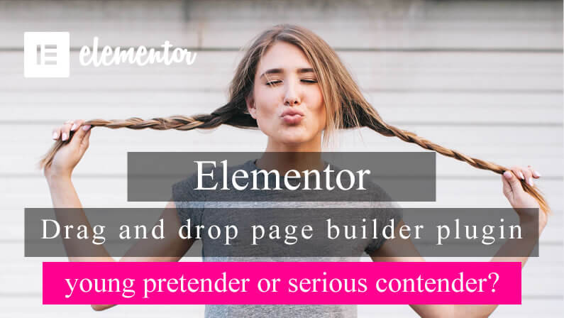 Elementor – young pretender or serious contender