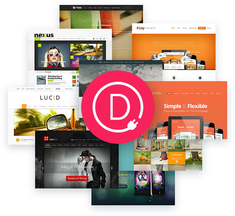 divi builder plugin works with any theme